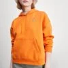 Jordan Sweatshirt - Sweatshirt -Jiaxin Sport Shop 087d88163dca46bdb8b9f8a951fd0e4f