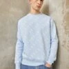 Jordan Crew- Sweatshirt - Ice Blue