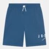 Jordan Jumpman Sustainable- Sports Shorts - True Blue -Jiaxin Sport Shop 7017a211237e44d6954f64182590ec3e